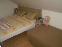 /album/fotogaleria/p1010177-jpg/